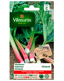 Vilmorin Rabarber zaden Victoria 3g