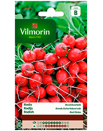Vilmorin Zaden Radijs Ronde Scharlakenrode 10g