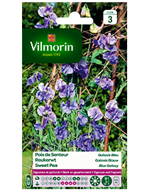 Bloemzaden Reukerwten Galaxie Blauw 6g