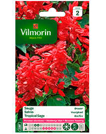 Bloemzaden Salvia Vuurgloed