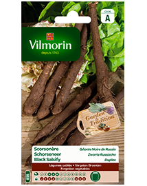 Vilmorin Schorseneer zaden Zwarte Russische 5g