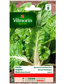 Vilmorin Snijbiet zaden Blonde Witribbige 2 van Lyon 5g