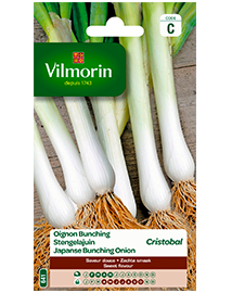 Vilmorin Zaden Stengelajuin Freddy 3g