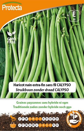 Zaadvaste Struikboon Zaden zonder draad Calypso