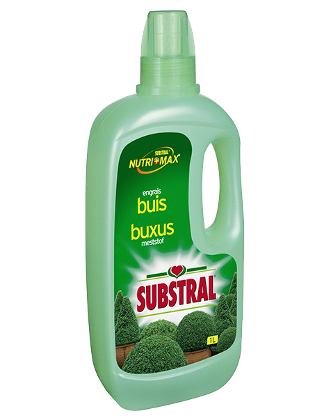Substral Buxusmeststof vloeibaar 1L