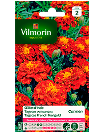 Bloemzaden Tagetes Carmen zaden 1g