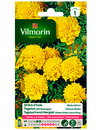 Bloemzaden Tagetes Citroen Globe 1g
