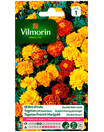 Bloemzaden Tagetes afrikaantjes Dubbele dwerg Gemengd