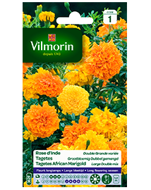 Bloemzaden Tagetes Grootbloemig Dubbel gemengd 1g