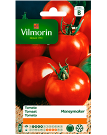 Vilmorin zaden Tomaat Moneymaker 2g
