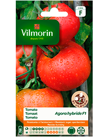 Vilmorin Zaden Tomaat Agora F1 0,3g