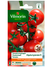 Vilmorin Trostomaat zaden Pepite 0,15g