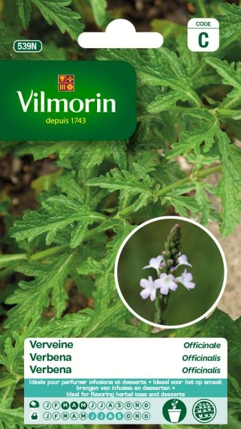 Vilmorin zaden Verbena Officinalis