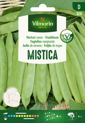 Vilmorin zaden Stoksnijbonen Mistica