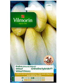 Vilmorin Witloofzaad in grootverpakking Crénoline 15g
