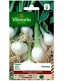 Vilmorin Ajuin zaden Witte premier 3g