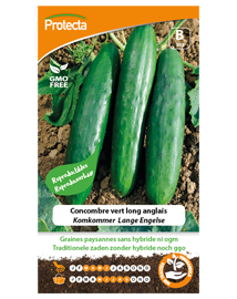 Zaadvaste Komkommer Zaden Lange Engelse 