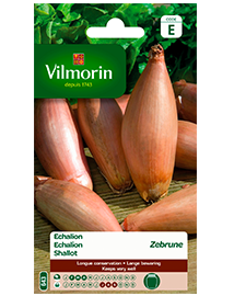 Vilmorin Zaden Echalion zebrune 2g