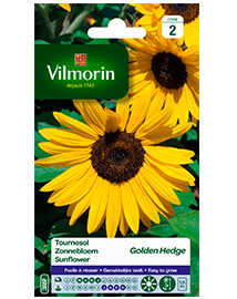 Bloemzaden Zonnebloem Golden Hedge 3g