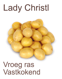 Pootaardappelen Lady Christl 1,5 kg