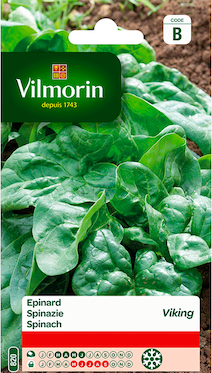 Vilmorin Zaden Spinazie Viking 15g