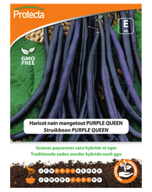 Zaadvaste Struikboon Zaden Purple Queen
