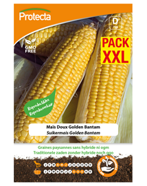 Zaadvaste Suikermais Zaden Golden Bantam XXL