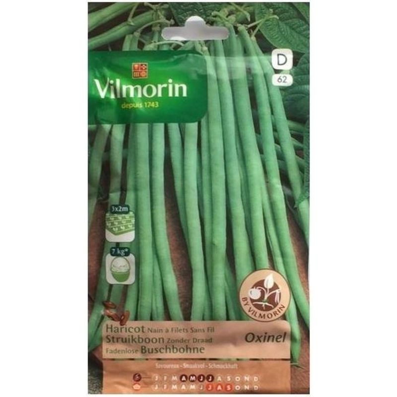 Vilmorin Zaden Struikprinces Oxinel 
