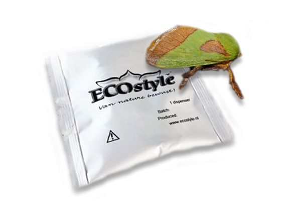 Feromoon tegen pruimenmot van Ecostyle