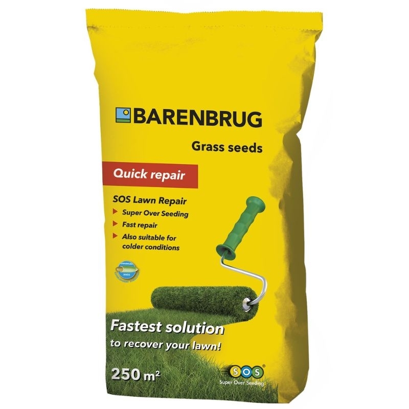 Graszaad Barenbrug Herstel Rapide 250m