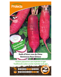 Zaadvaste Rammenas Zaden Roze Chinese 