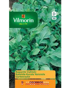 Vilmorin Zaden Raketsla gewone 20g