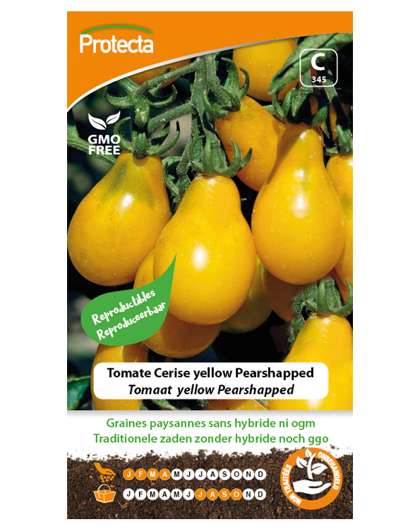 Tomaat  yellow Pearshapped