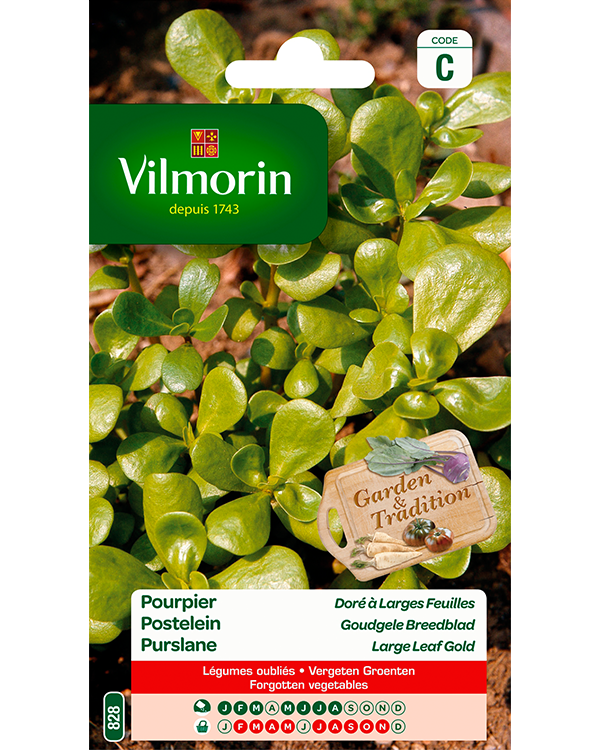 Vilmorin Postelein zaden Goudgele Breedblad 3g