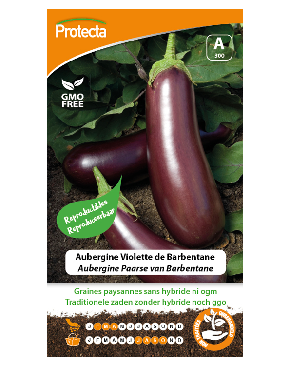 Zaadvast Aubergine Zaden Paarse van Barbentane