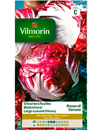 Vilmorin Zaden Wilde Cichorei Rode Verona 