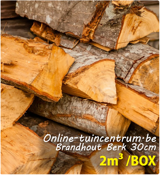 Brandhout Berk ovendroog 30cm bestellen per 2mÂ³