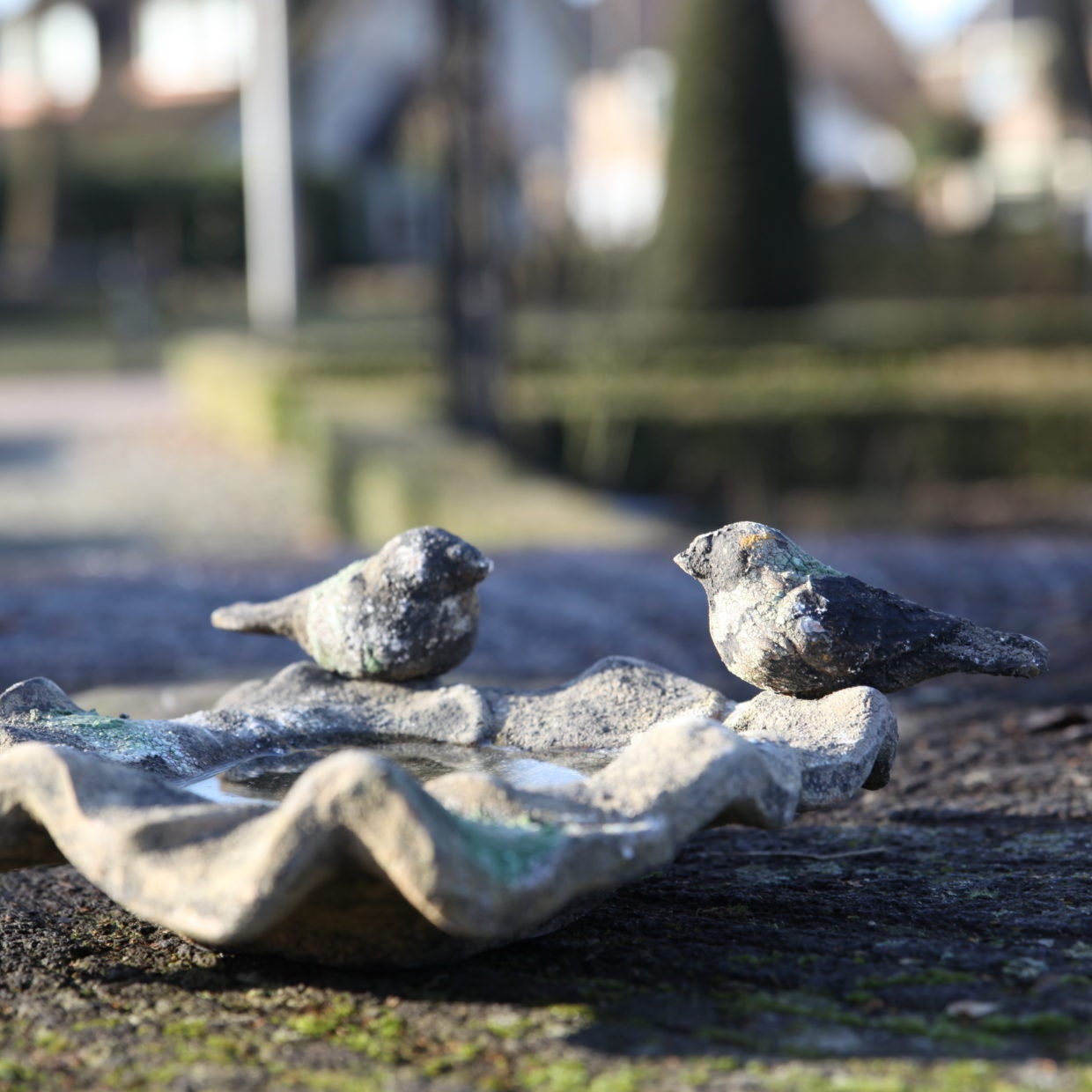 Terra Cotta vogelbad met twee vogels