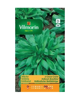 Vilmorin Veldsla zaden Hollands breedblad 
