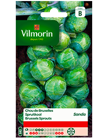 Vilmorin Zaden Spruitkool Sanda 3g