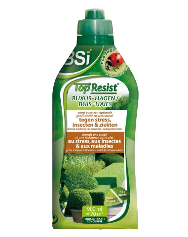 Groene fles BSI Top Resist Buxus en Hagen meststof, met afbeeldingen van een lieveheersbeestje en gezonde buxushagen.