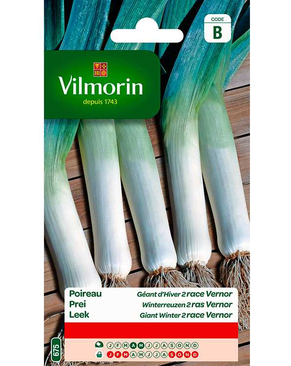 Vilmorin Prei zaden Winterreuzen Vernor 4g