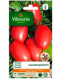Vilmorin Zaden Tomaat Lancelot F1 0,1g