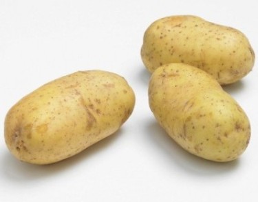 Pootaardappelen Eden om biologisch te telen 1kg