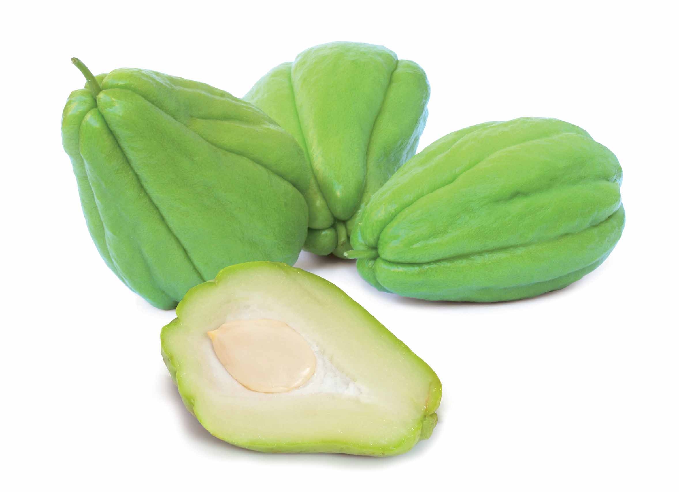 Plantgoed Chayote 1 plant