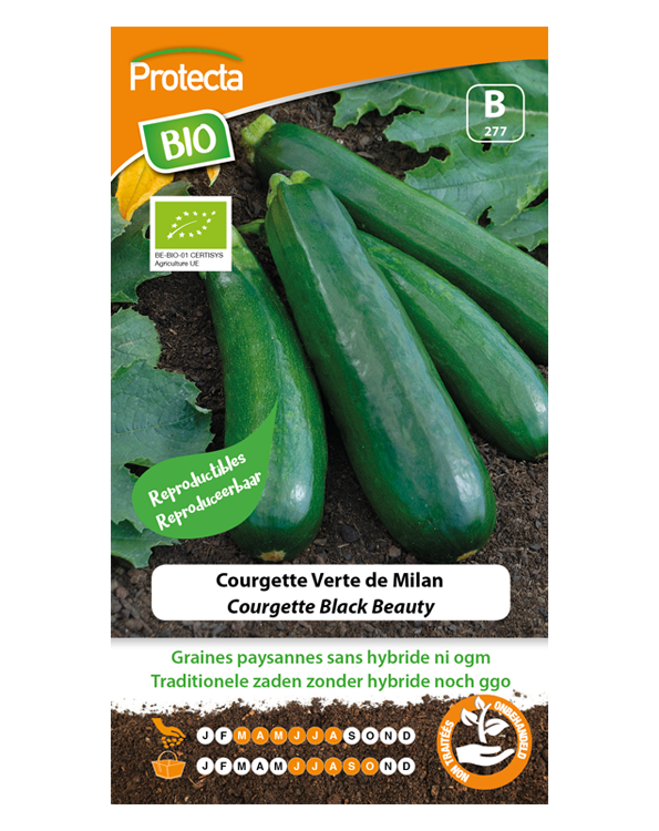 BIO Zaadvaste Courgette Zaden Black Beauty