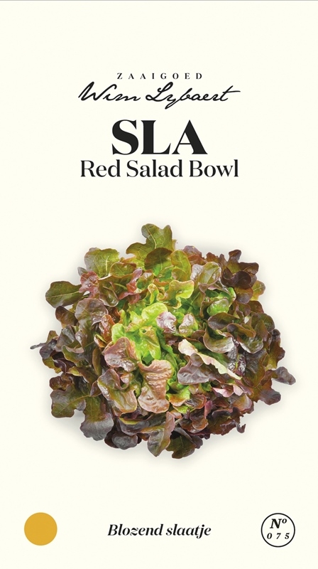 Wim Lybaert sla zaden: Eikenbladsla Red Salad Bowl - Rode eikenbladsla met decoratieve, zachte bladeren, ideaal als pluksla.