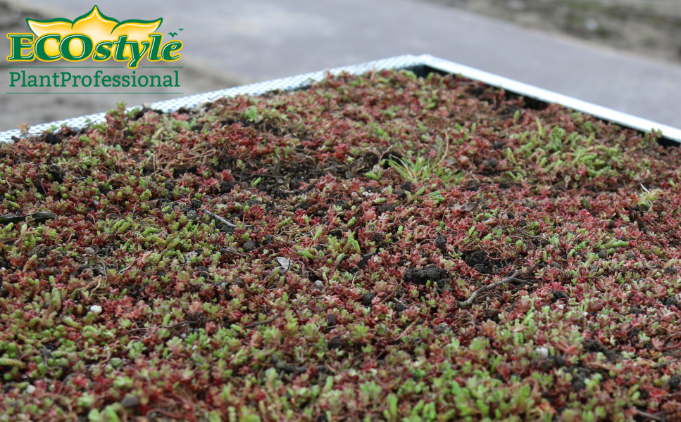 Ecostyle Myco-Sedum meststof voor groendak - sedumdak 10kg