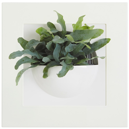 Een witte Elho Green Gallery Single wanddecoratie met een groene plant in een halve bolvormige pot.