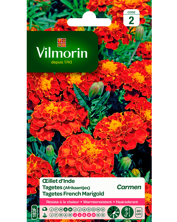 Bloemzaden Tagetes Carmen zaden 1g